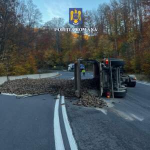 Remorca | MyTex.ro
