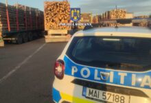 Polițiștii | MyTex.ro