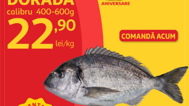 Programul | MyTex.ro