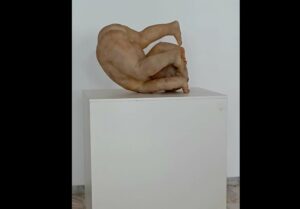 Târg | MyTex.ro