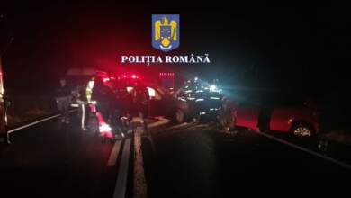 Bătaie | MyTex.ro