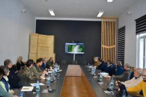 Se va tăia mai multă pădure | MyTex.ro