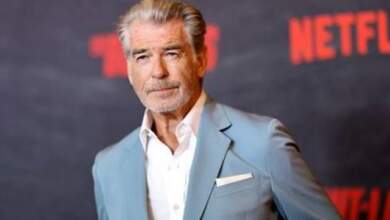 Pierce Brosnan riscă închisoarea | MyTex.ro