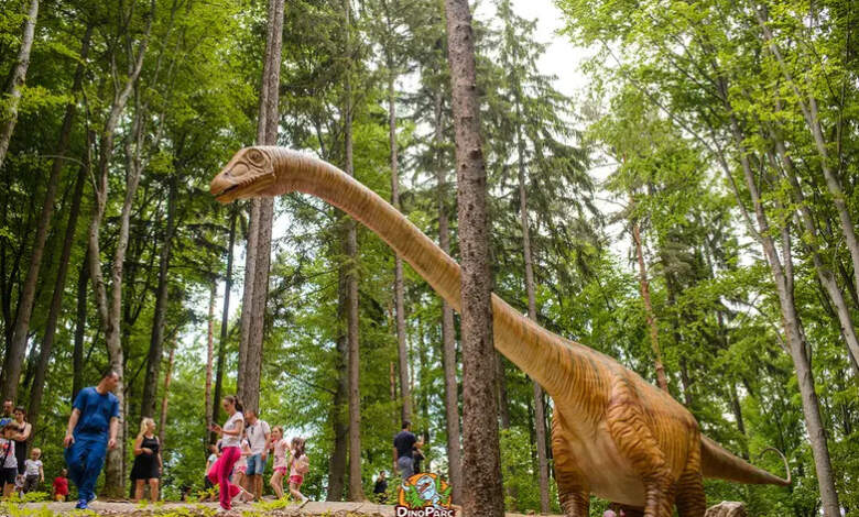 Dino Parc Râșnov - premiu important în premieră 5 Dino Parc Râșnov - premiu important în premieră | MyTex.ro