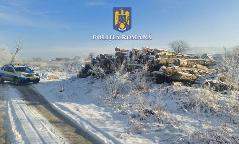 Material lemnos confiscat de polițiști din județul Brașov 3 material | MyTex.ro