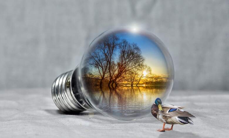 Ştiaţi că - 10 ianuarie. Ziua economisirii energiei 3 FOTO: restartenergy.ro