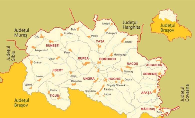APEL DE SELECȚIE - Măsura M3/6A Diversificarea activităților neagricole 5 | MyTex.ro