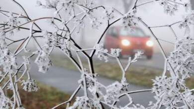 Cea mai scăzută temperatură din țară | MyTex.ro