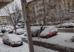 În scaunul cu rotile | MyTex.ro