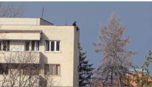 Tentativă de sinucidere la Brașov | MyTex.ro
