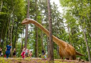 Oferta Dino Parc Râșnov pentru elevi și profesori | MyTex.ro