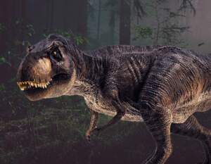 Oferta Dino Parc Râșnov pentru elevi și profesori | MyTex.ro