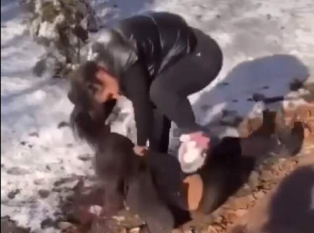 Bătaie violentă între două fete în parc 3 Bătaie violentă între două fete în parc | MyTex.ro
