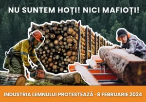 Lemn și cherestea din România | MyTex.ro