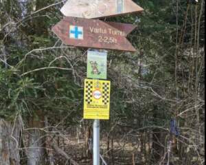 Acces restricționat pe mai multe trasee montane din Piatra Craiului | MyTex.ro