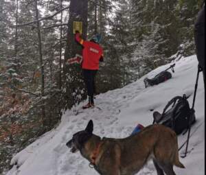 Acces restricționat pe mai multe trasee montane din Piatra Craiului | MyTex.ro