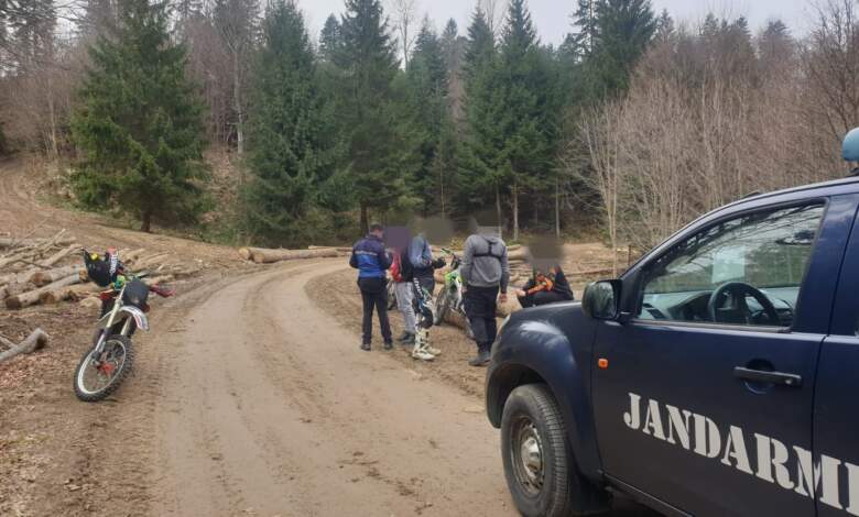 Jandarmeria Brașov | MyTex.ro