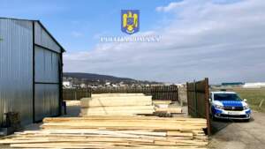 Polițiștii | MyTex.ro