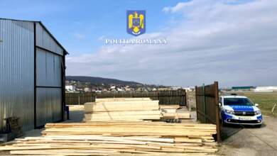 Polițiștii brașoveni au dat 71 de sancțiuni, în 3 zile de controale în domeniul silvic 8 poliția | MyTex.ro