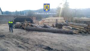 Polițiștii | MyTex.ro