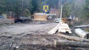 Polițiștii | MyTex.ro