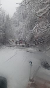trafic | MyTex.ro