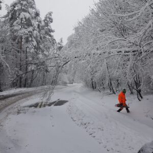 trafic | MyTex.ro