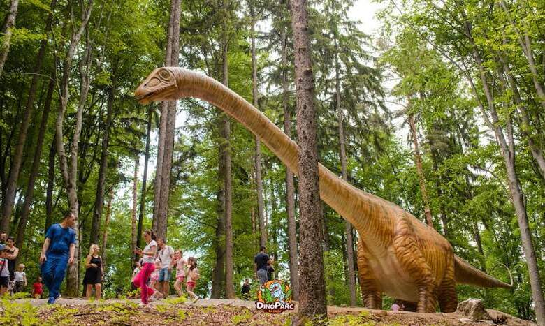 Dino Parc Râșnov, o aventură educativă și distractivă pentru Școala Altfel și Săptămâna Verde 5 Dino Parc Râșnov | MyTex.ro
