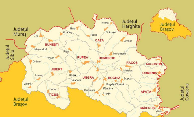 APEL DE SELECȚIE 5 | MyTex.ro