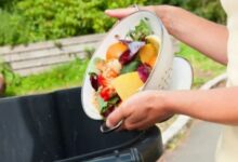 Poiana Braşov | MyTex.ro