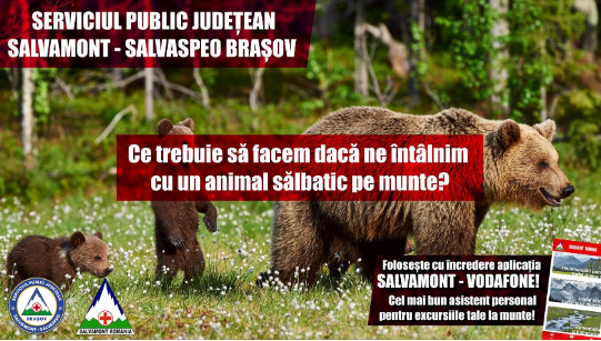 Ce trebuie să faci dacă te întâlnești în drumeție cu un animal sălbatic / Sfaturi utile oferite de Salvamont Brașov 3 Ce trebuie să faci dacă te întâlnești în drumeție cu un animal sălbatic | MyTex.ro