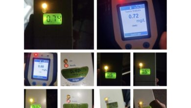 Lumânarea | MyTex.ro