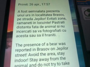 Alertă de urs la Brașov | MyTex.ro