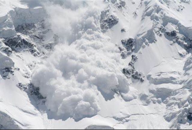 Avalanșă | MyTex.ro