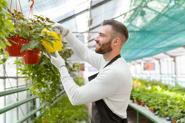 Cum se întreține un solar de grădină? 3 recomandări 3 | MyTex.ro