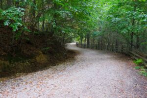 Drumul vechi al Poienii se transformă într-o alee de promenadă | MyTex.ro