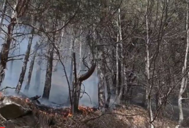 Alertă de călătorie în Grecia 3 Alertă de călătorie în Grecia | MyTex.ro