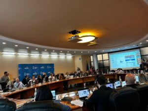 Consilierii locali PNL și PSD | MyTex.ro