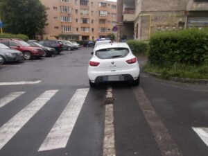 Peste | MyTex.ro