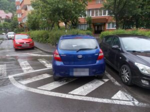 Peste | MyTex.ro
