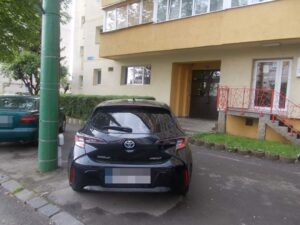 Peste | MyTex.ro