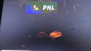 Unde votăm la alegerile din 9 iunie? | MyTex.ro