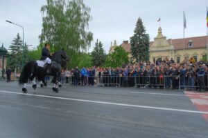 Glorie eternă eroilor neamului românesc | MyTex.ro