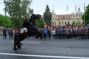Glorie eternă eroilor neamului românesc | MyTex.ro