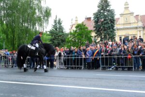 Glorie eternă eroilor neamului românesc | MyTex.ro