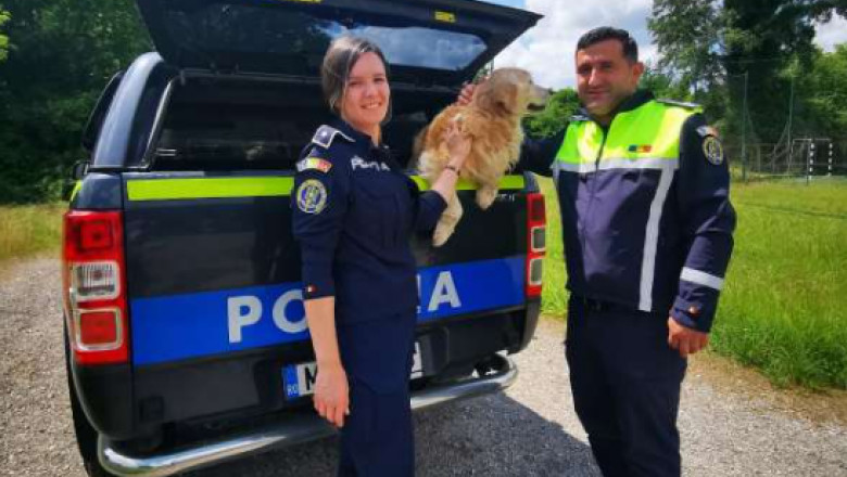 Revedere! Un câine pierdut acum 2 ani a ajuns înapoi la stăpâni (video) 3 Câine | MyTex.ro