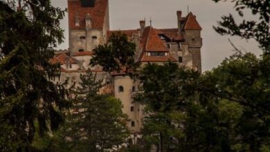 Acces gratuit de Ziua Internațională a Muzeelor / Unde puteți petrece Noaptea Muzeelor 2024 | MyTex.ro