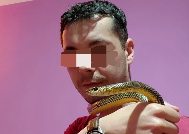Un bărbat care deținea mai mulți șerpi, între care vipere și un piton, a fost găsit mort în casă 3 Un bărbat | MyTex.ro
