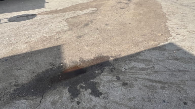 Iar e țigănie în zona Lacului Noua (Brașov) / Cu miros de ulei rânced, cu manele la maxim 7 Iar e țigănie în zona Lacului Noua | MyTex.ro