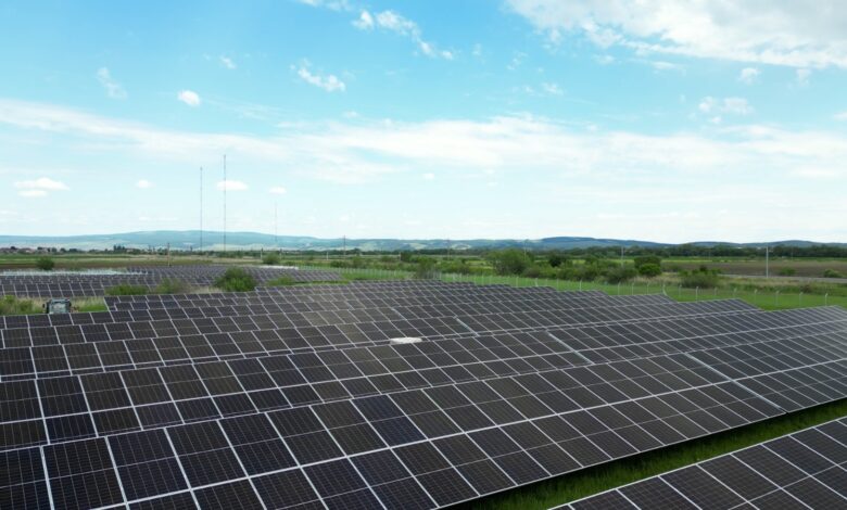 Nepotul lui Marcel Ciolacu - afaceri pe profit în domeniul energiei 3 Nepotul lui Marcel Ciolacu | MyTex.ro